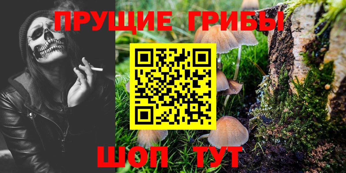 Георгиевск  Псилоцибиновые грибы ЛСД  Вход с VPN  Псилоцибиновые грибы ЛСД 